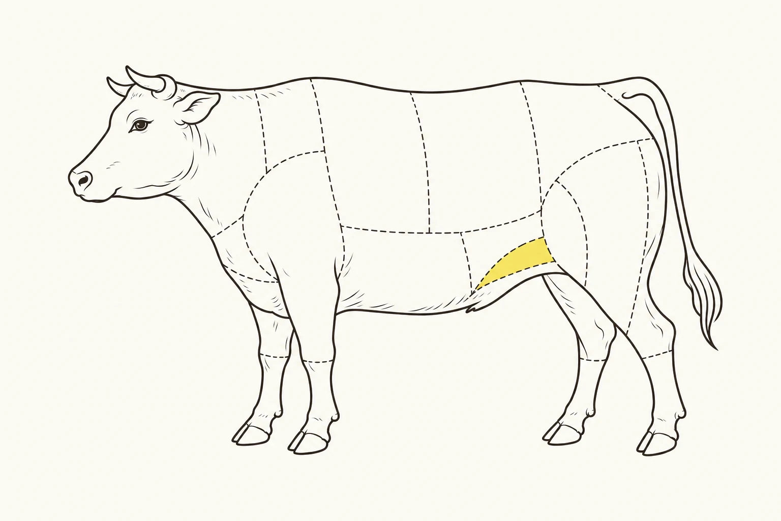 Orientacyjne położenie elementu zaznaczone na żółto: Bavetta mała / Flank steak.