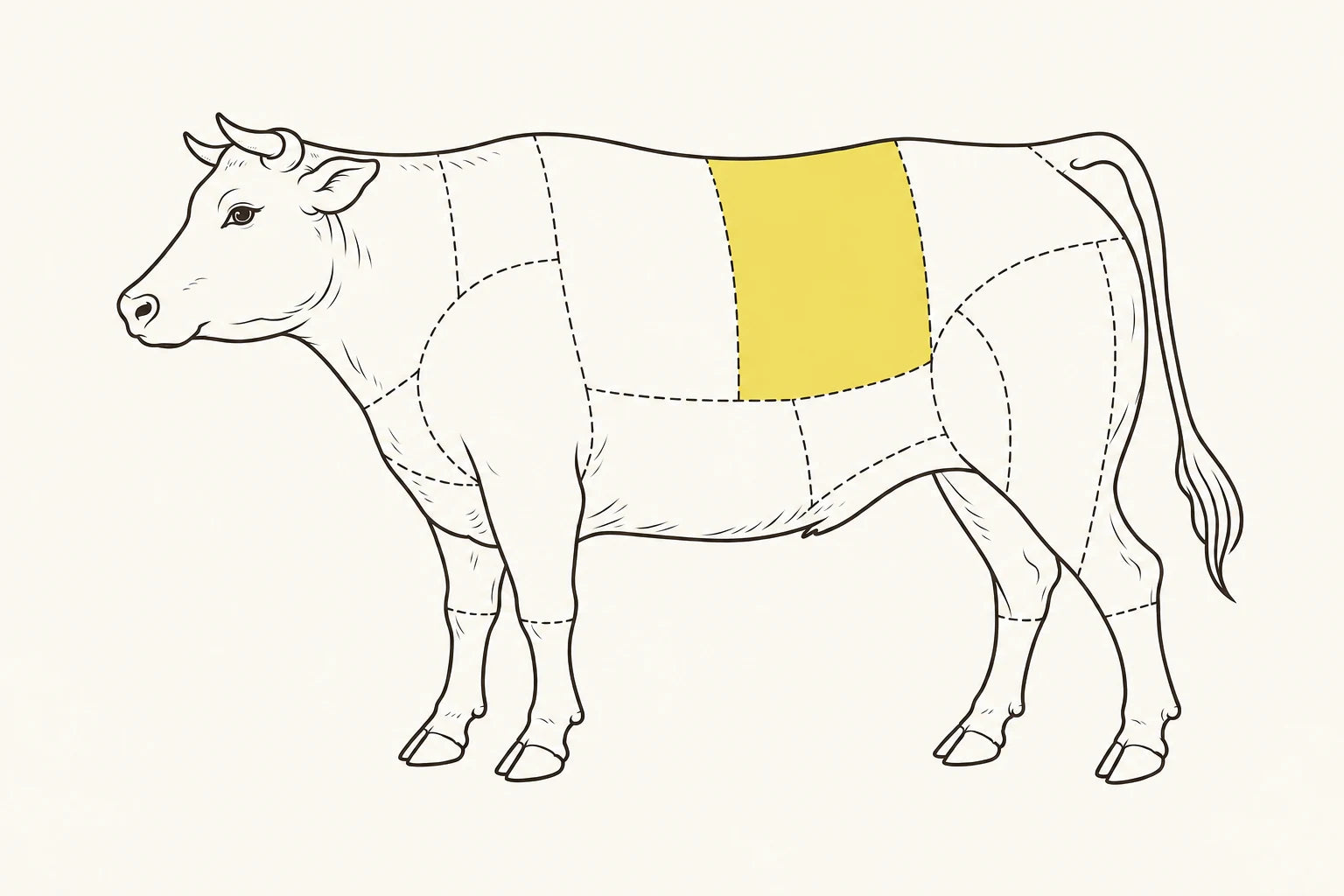 Orientacyjne położenie elementu zaznaczone na żółto: Rostbef / Striploin.