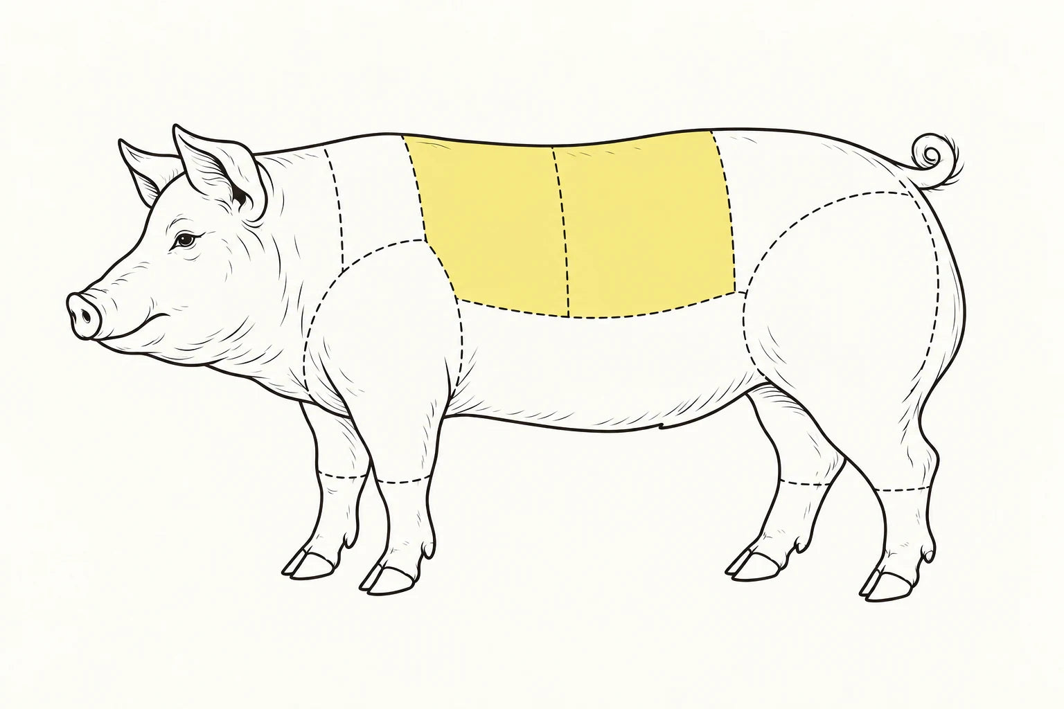 Orientacyjne położenie elementu zaznaczone na żółto: Schab wieprzowy / Pork loin.