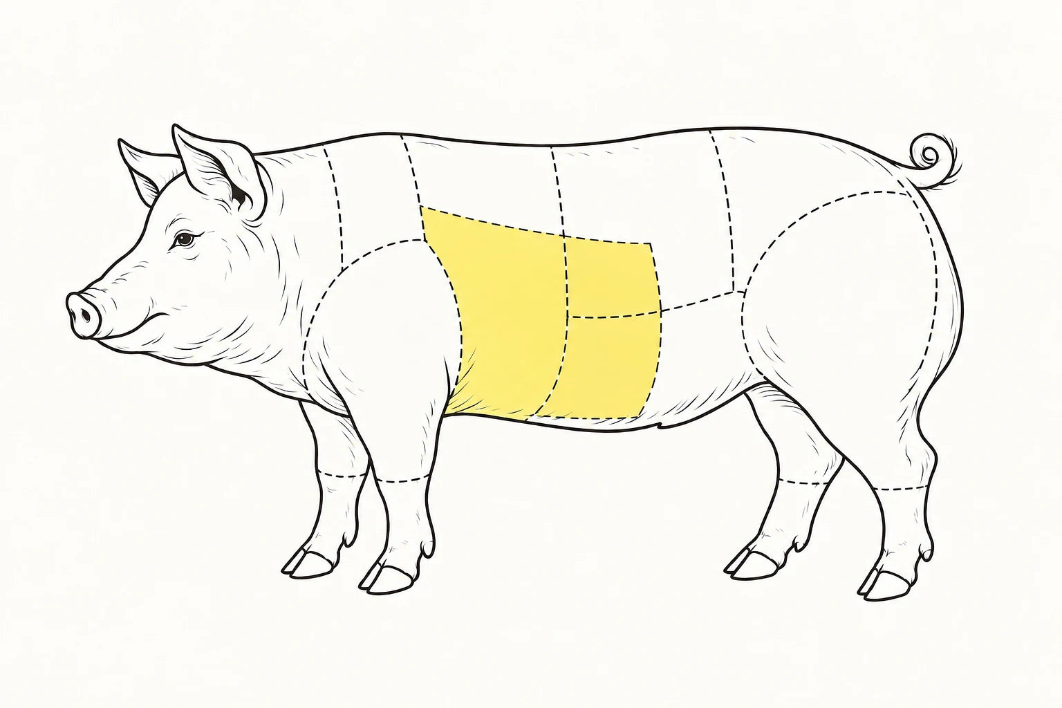 Orientacyjne położenie elementu zaznaczone na żółto: Żebra wieprzowe / Pork ribs.